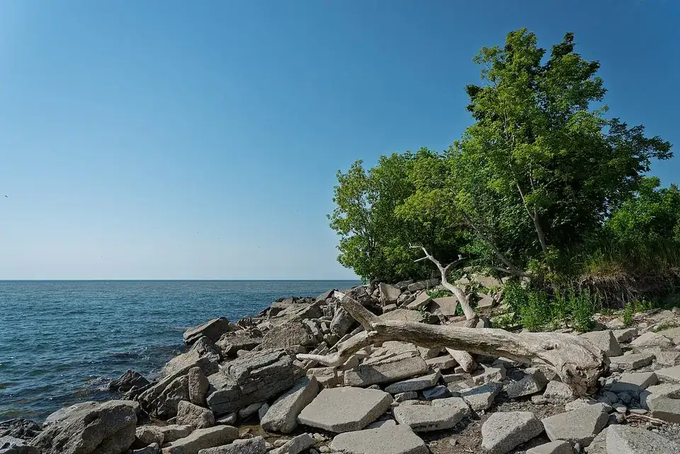Shoreline at J.C. Saddington, July 2025