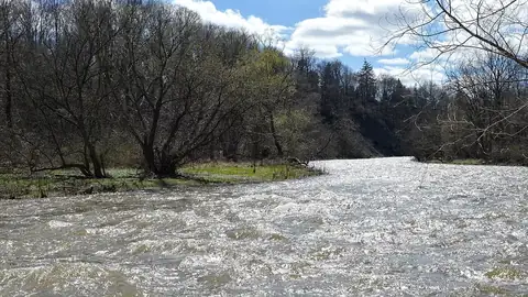 Credit River at Riverwood, April 2019