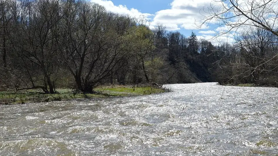 Credit River at Riverwood, April 2019