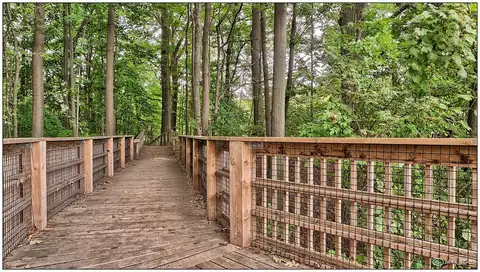Boardwalk at Rattray Marsh, September 2010