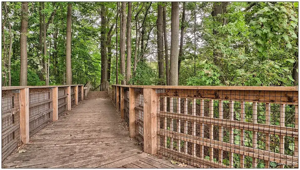 Boardwalk at Rattray Marsh, September 2010